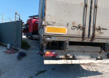 ДТП 2023 — в Киевской области водитель грузовика насмерть сбил человека | Новини Київа