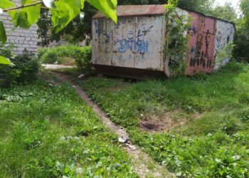 На Харківщині старенька жінка підірвалася на ворожій протипіхотній міні, – поліція. ФОТО | Кримінальні новини