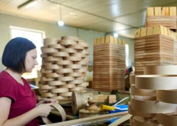 На Київщині збудували дуже важливий завод: що потрібно знати | Новини Київ