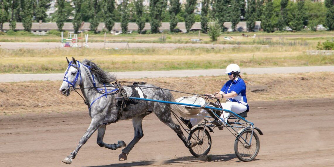 Київський іподром запрошує киян на гостей міста на змагання коней – П’ятий портал