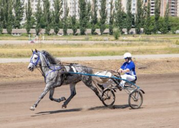 Київський іподром запрошує киян на гостей міста на змагання коней – П’ятий портал