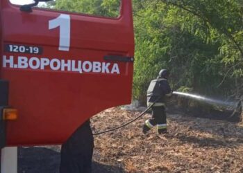 На Херсонщині внаслідок російського обстрілу горіло поле з пшеницею