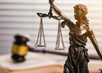 На Київщині прокуратура повернула державі 5,5 га земель лісогосподарського призначення