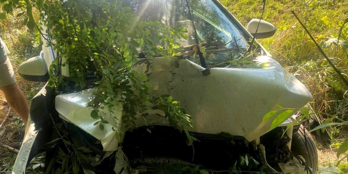 На трасі Київ-Одеса водій заснув за кермом та в’їхав у дерево (ФОТО)