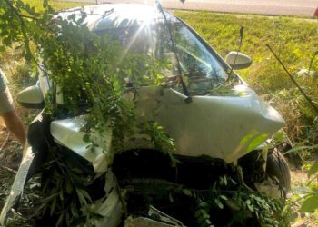 На трасі Київ-Одеса водій заснув за кермом та в’їхав у дерево (ФОТО)