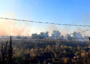 Окупанти намагались знищити термінал сільгосппідприємства на Херсонщині