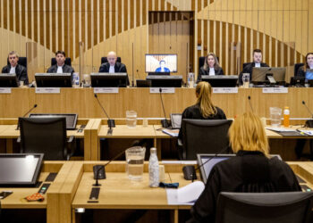 Справа МН17: У Нідерландах подала у відставку суддя, яка намагалась вплинути на процес / У світі /