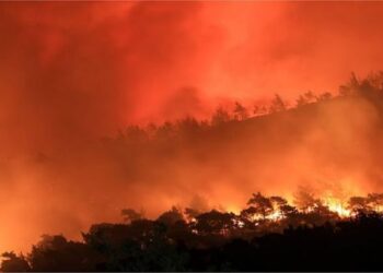 Територія розміром з 3 500 футбольних полів вигоріла через лісові пожежі у Туреччині – Економіка