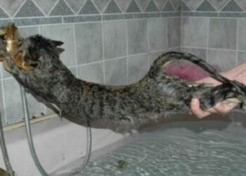 У Дніпрі не буде води 10 липня