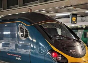 В Лондоне на 2,5 часа задержали скоростной поезд из-за кошки на крыше (ФОТО) » Надзвичайні події в Київі та Україні