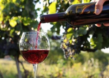 Винний фестиваль у Дніпрі