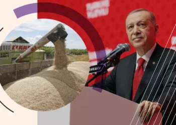 Зернова угода пішла в історію? Чого вимагає Москва та що буде з експортом українського зерна | Економіка