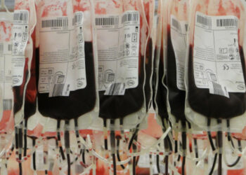 Уряд дозволив у крайній потребі ввозити з-за кордону донорську кров | Київщіна