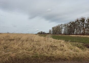 Біля Львова на аукціоні продали дві земельні ділянки. Що планують збудувати – Перший львівській портал