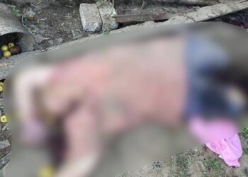 Черговий воєнний злочин окупантів: під час обстрілу вбито жінку та поранено місцевого жителя