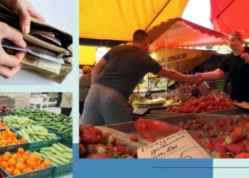 Ціни на овочі ударили по кишенях? Які продукти подорожчали літом найбільше  | Економіка