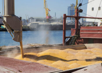 Lloyd’s близька до відновлення страхування суден із перевезення зерна в Чорному морі – FT – Економіка