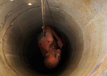 На Київщині рятувальники витягли чоловіка з колодязя (ФОТО)