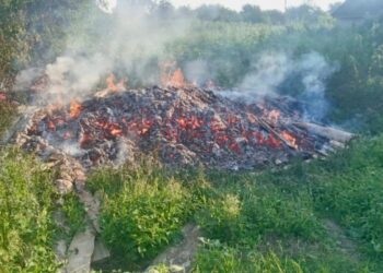 На Конотопщині чоловік задля помсти жінці вчинив навмисний підпал – Суми та область