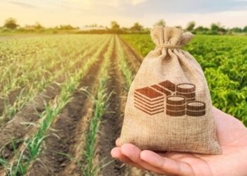 На Львівщині виставили на торги п’ять земельних ділянок – Перший львівській портал