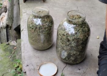 На Шосткинщині у чоловіка вилучили канабіс у трьохлітрових банках – Суми та область
