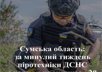 На Сумщині за тиждень знищили 20 боєприпасів – Суми та область