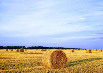 Ніч на Сумщині минула без ворожих обстрілів – Суми та область