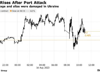 Після чергової атаки росіян на дунайській порт у світі підскочили ціни на пшеницю — Одеса