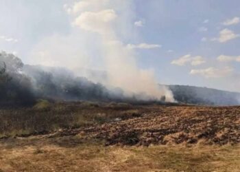 Пожежа поблизу села Андріївка