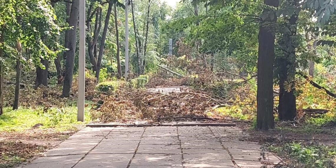 Ставищенська громада оговтується після негоди
