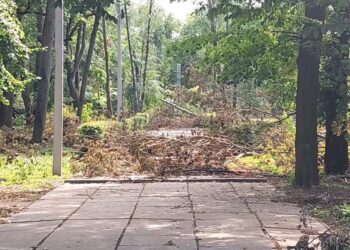 Ставищенська громада оговтується після негоди