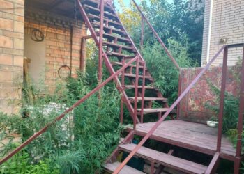 У Боярській громаді викрили виробництво коноплі