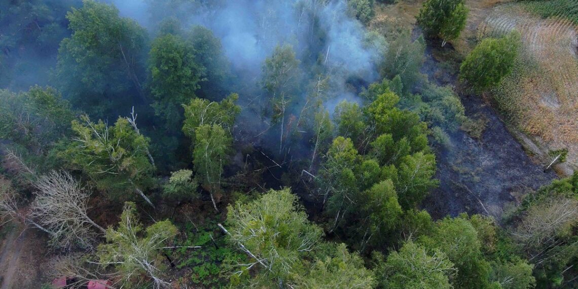 У Бучанський районі триває ліквідація загорання торф’яного поля