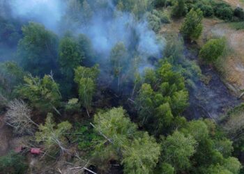 У Бучанський районі триває ліквідація загорання торф’яного поля
