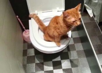 У Дніпрі немає води 26 липня