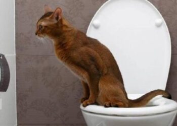 У Дніпрі немає води 9 серпня