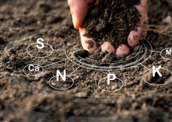 У Гостомельській громаді провели аналіз зразків грунту