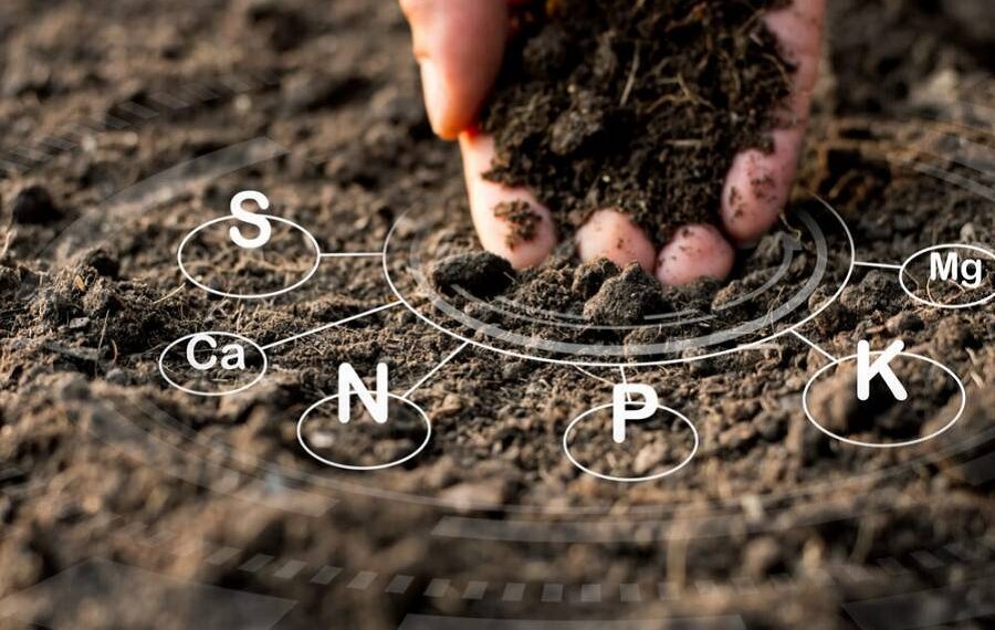 У Гостомельській громаді провели аналіз зразків грунту