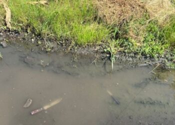 У Павлограді напали на пенсіонерів