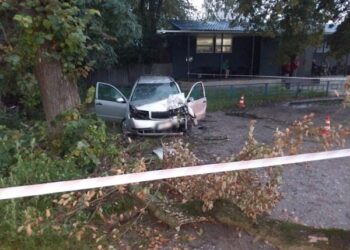 У Сумах автівка врізалась у дерево: водій помер до приїзду “швидкої” – Суми та область