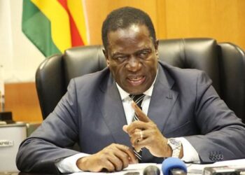 У Зімбабве опозиція звинувачує владу у фальсифікаціях виборів президента | Політика