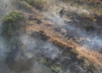 В Одессе снова горели поля орошения