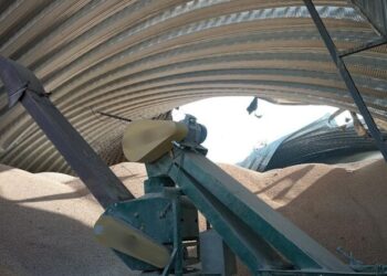 В результате последней атаки по Измалу пострадали склады “Нибулона”