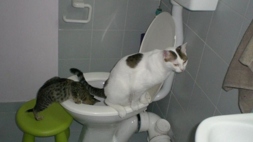 Вода Дніпро 14 серпня