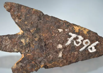 Знайдено стрілу, чий наконечник зроблений із давнього метеорита – Економіка