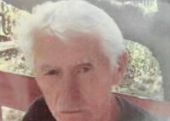 Зник минулого року: на Київщині розшукують 77-річного Михайла Хруща з Борисполя