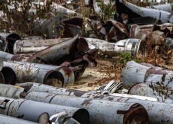 Шкода довкіллю Запорізької області склала понад 12 млрд грн |