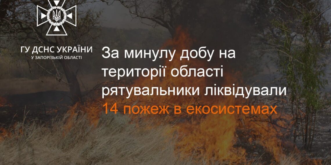 Поблизу Запоріжжя продовжуються пожежі в екосистемах |