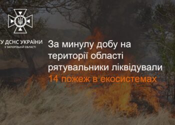 Поблизу Запоріжжя продовжуються пожежі в екосистемах |