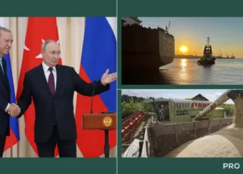 Чи може відновитися зернова угода – про що домовилися Путін та Ердоган | Економіка